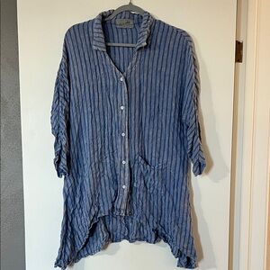 Casual Blue Striped Button Down Shirt